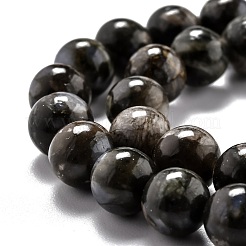 天然藍閃石ビーズ連売り  ラウンド  8.5mm  穴：1.2mm  約47個/連  15.67インチ（39.8cm）&nbsp;G-L574-01C