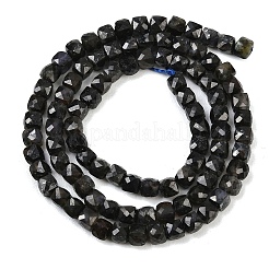天然のアイオライトビーズ連売り  多面カット  キューブ  4.5~5x4.5~5x4~4.5mm  穴：0.8~1mm  約94個/連  15.08~15.20''（38.3~38.6センチメートル）&nbsp;G-B171-A03-4x4mm