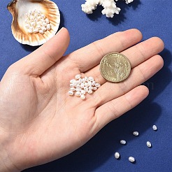 天然養殖淡水真珠ビーズ10個  ライス  乳白色  3.5~5x3.5~4.5mm  穴：0.6mm&nbsp;PEAR-YW0001-42