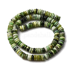 Natural Serpentine Jade Beads Strands&nbsp;G-L624-H13-6x2mm