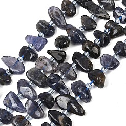 Natural Iolite Beads Strands&nbsp;G-L657-E04-01