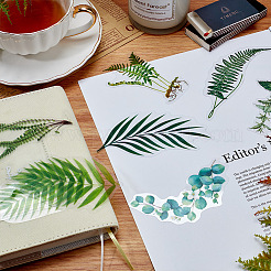 Waterproof Self Adhesive Stamping Stickers Sets&nbsp;DIY-CP0001-60A