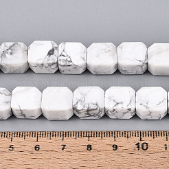 Natural Howlite Beads Strands&nbsp;G-N353-03A-07