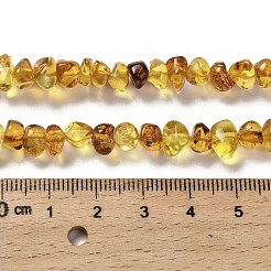 天然琥珀ビーズ連売り  ナゲット  タンブルストーン  6~8x6~10x4~7mm  穴：0.6mm  約79~81個/連  15.16~15.28インチ（38.5~38.8cm）&nbsp;G-L095-L01-01