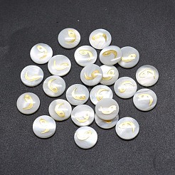 Shell Cabochons&nbsp;SSHEL-E568-A11