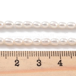 Natural Cultured Freshwater Pearl Beads Strands&nbsp;PEAR-P062-03B