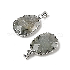 Natural Labradorite Pendants&nbsp;G-H086-01P-05