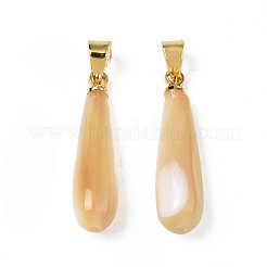 Natural Trochid Shell/Trochus Pendants&nbsp;SSHEL-N027-129G