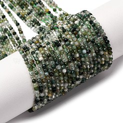 Natural Moss Agate Beads Strands&nbsp;G-A129-2mm-01A