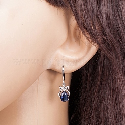 Platinum Tone Stainless Steel Dangle Earrings&nbsp;EJEW-EE0002-04B