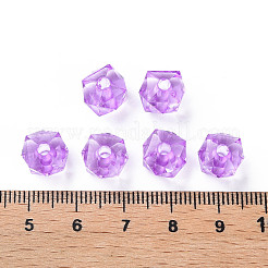 Transparent Acrylic Beads&nbsp;LS-MACR-S373-51B-B02