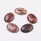 Natural Brecciated Jasper Flat Back Cabochons&nbsp;G-G741-30x40mm-02-1