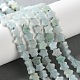 Natural Amazonite Beads Strands&nbsp;G-G085-B45-02-1