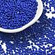Baking Paint Glass Seed Beads&nbsp;SEED-S001-01-1