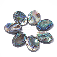 アワビ殻/パウア殻ビーズ  オーバル  18x13x3.5mm  穴：1mm