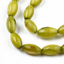Natural Freshwater Shell Beads Strands&nbsp;SHEL-N026-212-B04