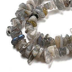 天然石ラブラドライトビーズ連売り  チップ  5~8mm  穴：1mm  約80~81 CM&nbsp;G-P332-23