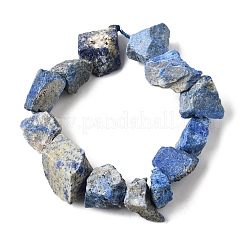 Natural Lapis Lazuli Beads Strands&nbsp;G-S386-C05