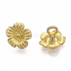 Brass Charms&nbsp;KK-S349-054-NF