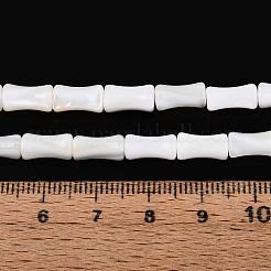 天然淡水シェルビーズ連売り  竹  貝殻色  9.5~10x4.5~5.5mm  穴：0.6mm  約38個/連  14.76インチ（37.5cm）&nbsp;SHEL-N038-02