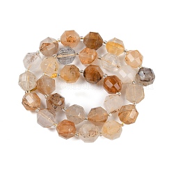 Natural Dendritic Quartz Beads Strands&nbsp;G-O201B-150H