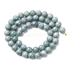 Natural Blue Jade Beads Strands&nbsp;G-H341-8mm-01