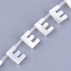 天然石シーシェルビーズ  パールシェルのホワイトシェルマザー  トップドリルビーズ  文字.e  10x2.5~11.5x3mm  穴：0.8mm&nbsp;SHEL-T012-60E