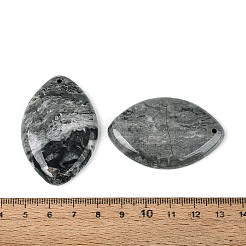 天然地図石の大きなペンダント  馬の目のチャーム  49.5~50.5x32~33x7~7.5mm  穴：1.8~2mm&nbsp;G-N361-04B