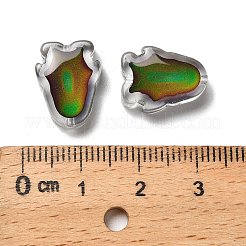 Glass Beads&nbsp;GLAA-P072-06