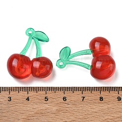 Transparent Acrylic Pendants&nbsp;AC-CBA97EB-04A