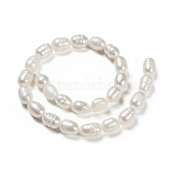 天然養殖淡水パールビーズ連売り  ライス  貝殻色  7.5~9.5x5.5~6.5mm  穴：0.7mm  約24~25個/連  7.56インチ〜7.76インチ（19.2cm〜19.7)&nbsp;PEAR-N012-05G