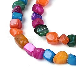 Natural Freshwater Shell Beads Strands&nbsp;SHEL-N037-04B