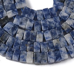 Natural Blue Spot Jasper Beads Strands&nbsp;G-A280-C06-01