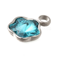 304 Stainless Steel Pendants&nbsp;STAS-Q346-02P-03