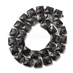 Natural Larvikite Beads Strands&nbsp;G-F839-A03-01