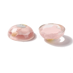 Transparent Resin Cabochons&nbsp;RESI-G034-B07