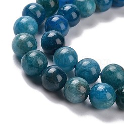 Natural Apatite Beads Strands&nbsp;G-P132-04-8mm