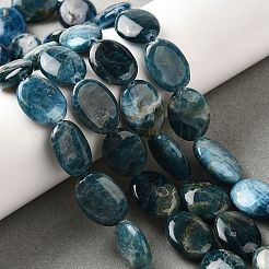 天然石アパタイトビーズ連売り  フラットオーバル  16x12.5x5.5mm  穴：1mm  約25個/連  16.06''（40.8センチメートル）&nbsp;G-Q026-A01-03
