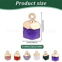 12Pcs 6 Styles Natural Ruby in Zoisite & Natural White Jade & Red Jasper & Grey Agate & Strawberry Quartz & Quartz Crystal Star Cut Round Charms&nbsp;G-HY0001-87