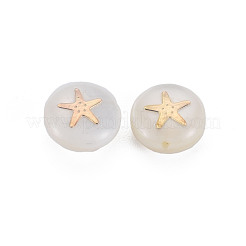 天然淡水シェルビーズ  金メッキ真鍮金属装飾付き  スターとフラットラウンド  貝殻色  8x3.5mm  穴：0.7mm&nbsp;SHEL-S278-063