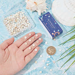 4連売りABカラーメッキ天然淡水シェルビーズ連売り  フラットラウンド  ホワイト  6x3mm  穴：0.8mm&nbsp;BSHE-SC0001-19