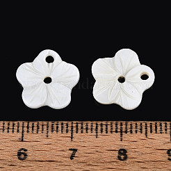Natural Freshwater Shell Buttons&nbsp;SHEL-N038-11