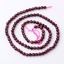 Natural Garnet Bead Strands&nbsp;X-G-K145-F-3mm-AB