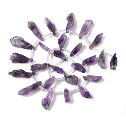 Natural Amethyst Beads Strands&nbsp;G-Q023-B02-01