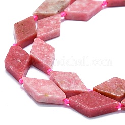 Natural Argentina Rhodonite Beads Strands&nbsp;G-K245-E04-A02