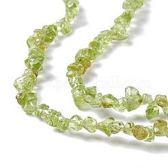 天然ペリドットチップビーズ連売り  4~6x3.5~6x2.5~3mm  穴：0.8mm  約256個/連  31.50インチ（80cm）&nbsp;G-G905-09