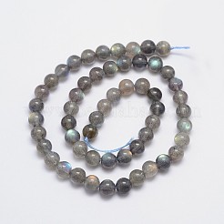 Natural Labradorite Round Bead Strands&nbsp;G-I156-06-7mm