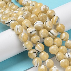Natural Trochus Shell Beads Strands&nbsp;BSHE-P033-03B