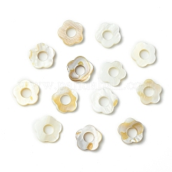 淡水貝ビーズフレーム20個  染め  花  ホワイト  14.5~15.5x15~16x2.5mm  穴：1mm&nbsp;SHEL-YW0001-08