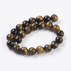 天然石タイガーアイビーズ連売り  ラウンド  ゴールデンロッド  8mm  穴：1mm  約24個/連  7.4インチ&nbsp;X-G-G099-8mm-5